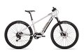 ROCK MACHINE Torrent INT e30-29 Silver/Grey