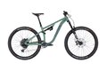 PELLS Tarpan AM 1 Moss Green
