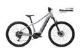 CTM Ruby GX Pro 29 Matt Silver