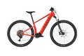PELLS Thorr Panasonic 2 Strawberry red