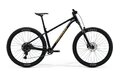 MERIDA Big.Trail 300 Black (Brown)