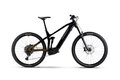 HAIBIKE AllTrail 10 29 Black/Ninja Gold/Grey Glossy