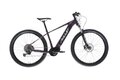 AMULET eRival 5.0 29 SH Royal Purple/White