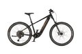 AUTHOR Elevation 27.5 ASL Black/Gold