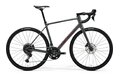 MERIDA Scultura Endurance 300 Silk Cool Grey (Red)
