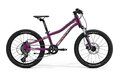 MERIDA Matts J.20 Purple (Black/Champagne)