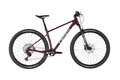 PELLS Duke 1 Eggplant