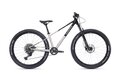 SUPERIOR TEAM 27.3 Gloss Brushed Alu/Rainbow Black
