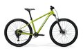 MERIDA Big.Nine 20 Fall Green (Silvergreen)