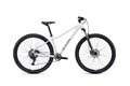 CTM Charisma 1.0 29 Matt Light Grey