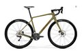 MERIDA Silex 8000 Low Green (Gold/Black)