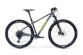 MERIDA Big.Nine NX Edition Dark Silver (Green/Silver)