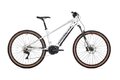 ROCK MACHINE Torrent INT e70-29 B Gloss Silver/Black/Silver