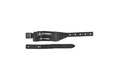 Pásky na lyže ATOMIC 55MM PROFESSIONAL DUAL STRAP