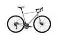 MARIN Nicasio Gloss Silver/Gold