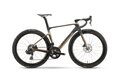 RAYMON Arva Elite Multi Gold/Carbon