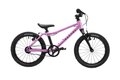 RASCAL 16 Raspberry