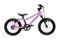 RASCAL 14 Raspberry