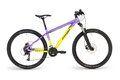 STEVENS Team RC 24 Lemon Lavender