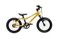 RASCAL 14 Gold