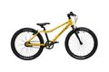 RASCAL 20 3s Gold