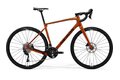 MERIDA Silex 4000 Wild Honey (Black)