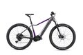 CRUSSIS e-Fionna 9.10 900 Wh