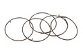Náhradní díly FULCRUM pawl spring (5 pcs.)