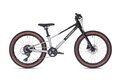 SUPERIOR TEAM 20 Gloss Brushed Alu/Rainbow Black