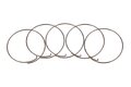 Náhradní díly FULCRUM Spring for pawl FW body MTB (5pcs)