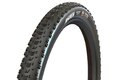Plášť MAXXIS Aspen Team Spec EXO TR MaxxSpeed kevlar 29x2.25"
