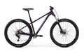 MERIDA Big.Trail 400 Silk Dark Purple (Silver)