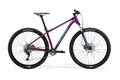 MERIDA Big.Nine 200 Purple (Blue)