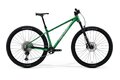 MERIDA Big.Nine TR Limited Dandelion Green (Silvergreen)