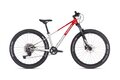 SUPERIOR TEAM 27.3 Gloss Brushed Alu/Red