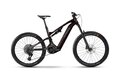 HAIBIKE AllMtn CF 9 Black/Platinum Glossy
