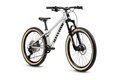 EARLY RIDER Hellion 24 Brushed Aluminium