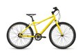 ACADEMY Grade 5 Belt 24 Nexus Yellow