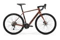 MERIDA eSILEX 400 Silk Bronze Metal (Black)