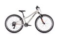 SUPERIOR RACER 24 Gloss Grey