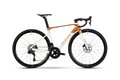 RAYMON Arva Comp White/Copper
