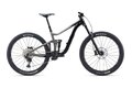 GIANT Reign 2 Black Carbon