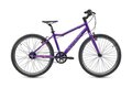 ACADEMY Grade 5 Belt 24 Nexus Purple