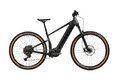 PELLS Thorr Panasonic 1 Black on black