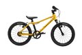 RASCAL 16 Gold