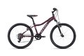 CTM Rocky 2.0 Matt Dark Pink Pearl