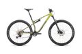 SUPERIOR XF 6.2 DC Gloss Olive
