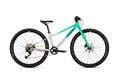 SUPERIOR F.L.Y. 27 Gloss Mint