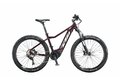 Elektrokolo KTM MACINA RACE 271 GLORIOUS, model 2020