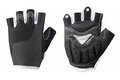 LOUIS GARNEAU MONDO